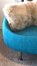 Turquoise Pet Bed Chair